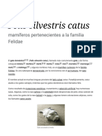 Felis Silvestris Catus - Wikipedia, La Enciclopedia Libre