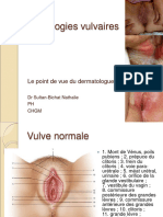 Pathologies_vulvaires_2911 (1)