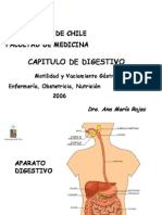 Fisiologia Digestivo