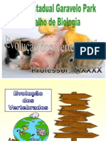 Evolução Dos Vertebrados