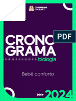 Cronograma 2024 - Bebê-Conforto