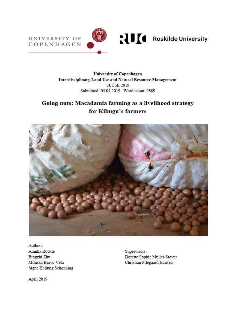 Kenya Going Nuts Macadamia Farming As A Livelihood Strategy For