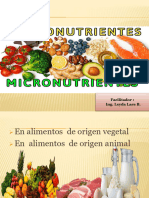 Macro y Micronutrientes 