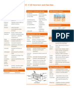 Cheatt Sheet #2