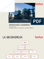 Introducción A La Bioenergía