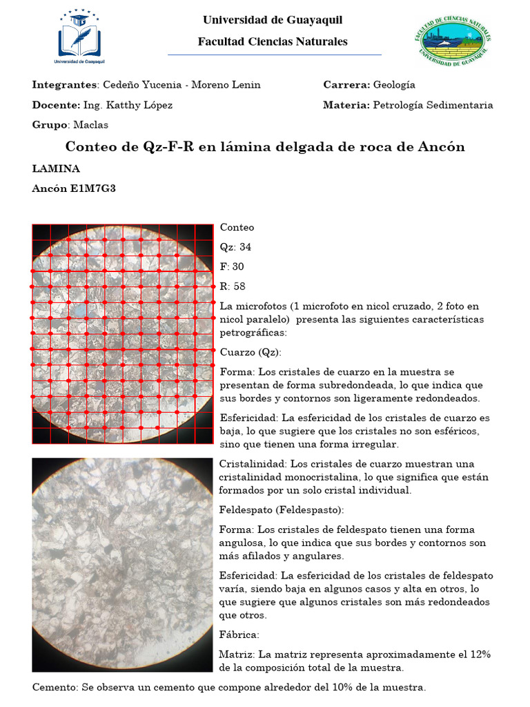 TRABAJO AUTÓNOMO # 9 Conteo de QZ-F-R en Lámina Delgada de Roca de ...