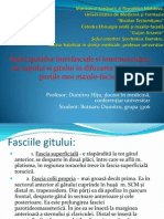 Spatiile interfasciale