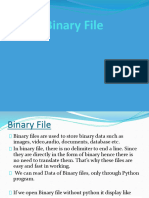 File Handling Binary File