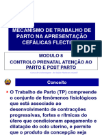 Trabalho de Parto - 013934