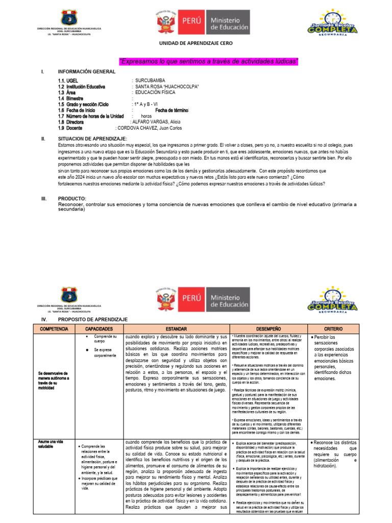 Unidad de Aprendizaje Cero 1° | PDF | Aprendizaje | Las emociones