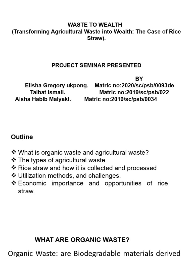 Transforming Rice Straw into Wealth | PDF | Agriculture | Bioenergy
