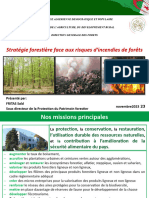 Stratégie Forestière Face Aux Risques d'Incendies de Forêts (FRITAS) 2024