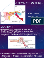 Anatomy of Eustachian Tube