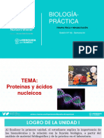 PRÁCTICA 04 - 2023-1 - Proteínas y Ácidos Nucleicos