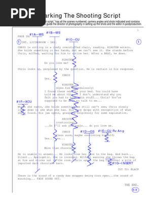 Marking_single_cam_script