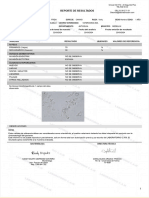 Reporte de Resultados