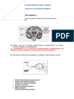 Guia de Actividad 5 Clave de Autocorrección