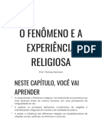 O fenômeno e a experiência religiosa