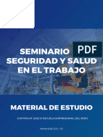 Diapositivas Seminario Sem4sst191023r