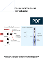 Clase 4 Variaciones Cromosomicas