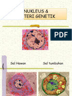 Nukleus Dan Materi Genetik