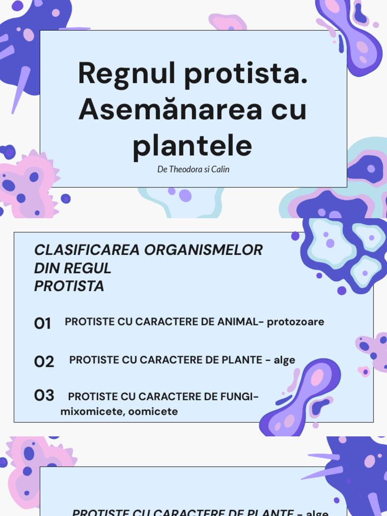 Regnul Protista. Asemănarea Cu Plantele | PDF