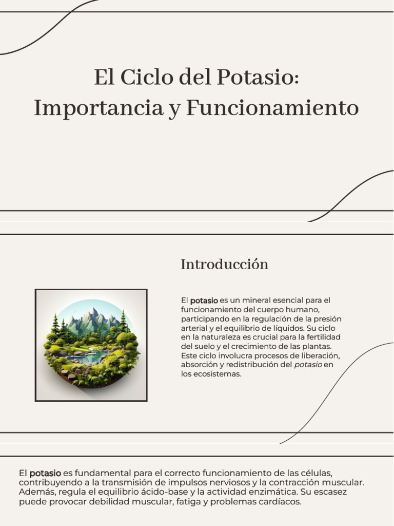 Wepik El Ciclo Del Potasio Importancia y Funcionamiento ...