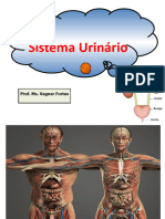 _SISTEMA URINÁRIO  (3)