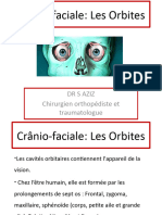 9 Crânio Faciale Les Orbites