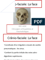 8-Crânio-Faciale La Face