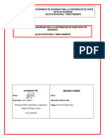 Procedimiento para Laconformacion de Comite Mixto de Salud, Seguridad y Medio Ambiente