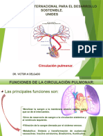 Circulación Pulmonar.