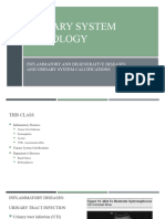 Urinary System Pathologies Inflammatory, Calcifications and Degenerative 2