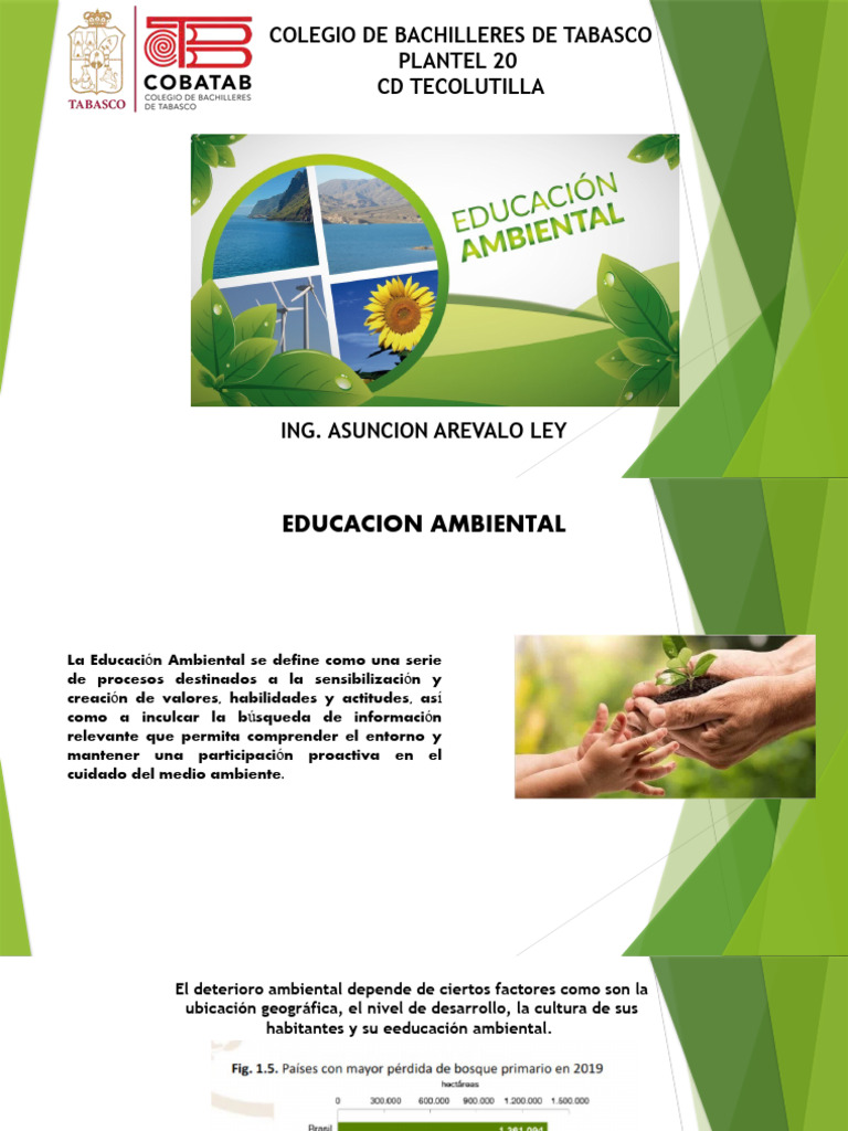 Educacion Ambiental | PDF | Entorno natural | Aprendizaje
