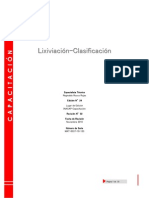 Apuntes Lixiviaxión-Clasificación