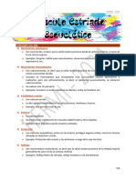 9) MEE - Estructura, Placa Neuromuscular