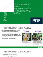 Clase 7 Reproduccion en Las Plantas