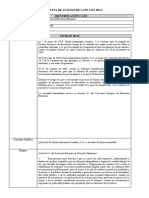 Minuta de Análisis de Caso Con Irac