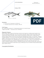 FAO Fisheries & Aquaculture - Species Fact Sheets - Trachurus Trecae (Cadenat, 1949)