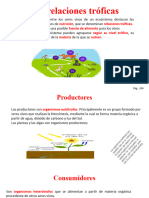 Las Relaciones Tróficas 23 Enero Del 2024