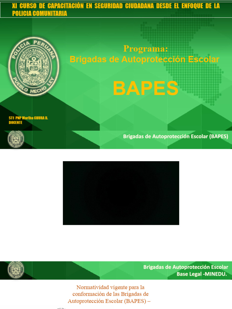 Programa Bapes | PDF | Policía | Valores