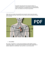 Focos de Auscultación