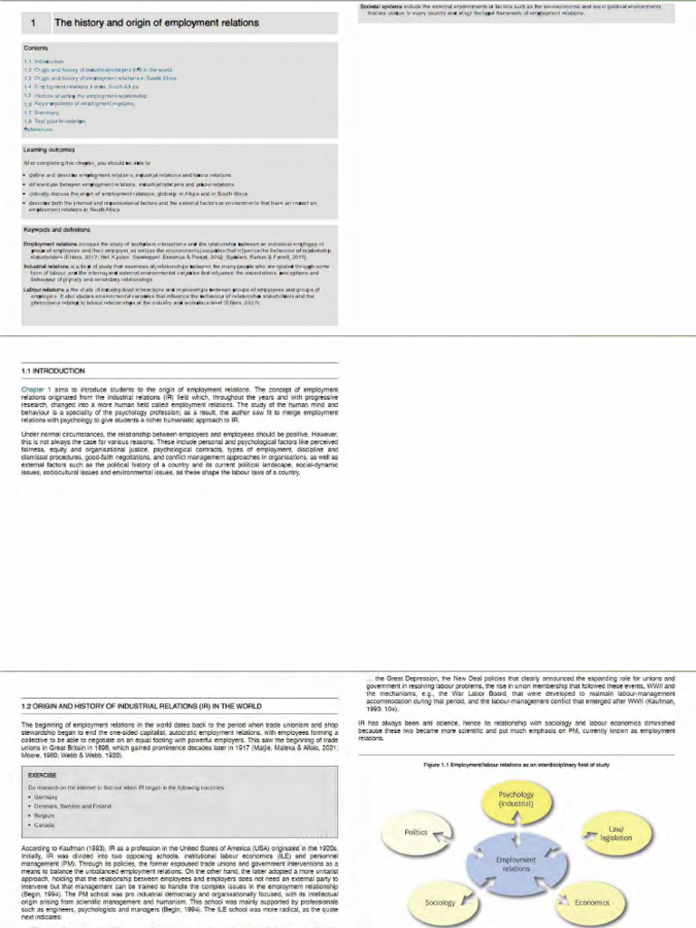Employment Relations in South Africa a Psychological Perspective | PDF ...