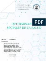 Determinantes Sociales de La Salud - Subgrupo 3