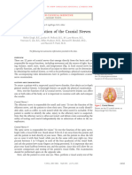Clinical Examination of the Cranial Nerves