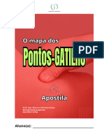 O MAPA DOS PONTOS-GATILHO (Viny Massoterapeuta)