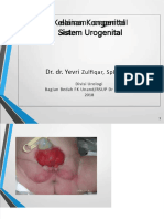 pdf-3112-kelainan-kongenital-sistem-urinariuspdf