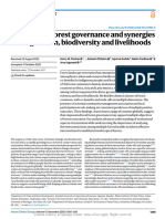 Community Forest Governance and Synergies Among Ca