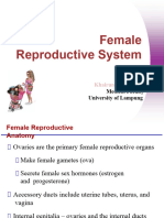 6 - Female Reproduksi