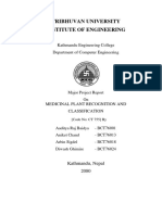 Plant Detection and Classification Final Report